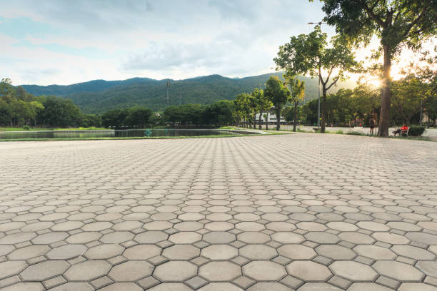 Best Interlocking Driveway Pavers  in Edwards, CO
