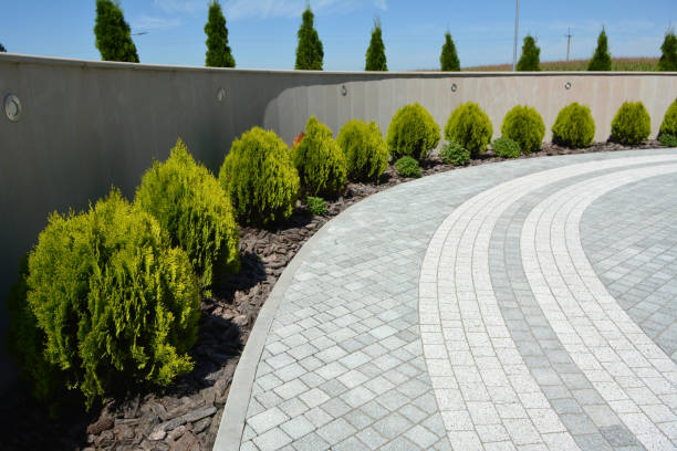 Best Decorative Driveway Pavers  in Edwards, CO